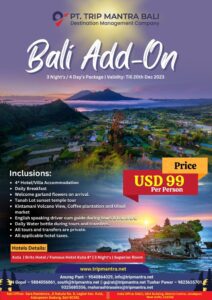Bali Tout Packages.
